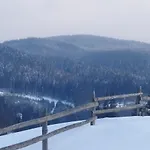дзвін карпат Lazeshchyna