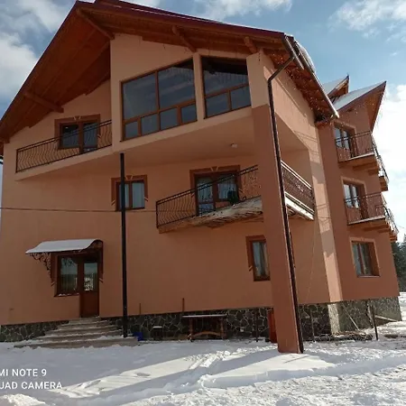 Orman Evi дзвін карпат