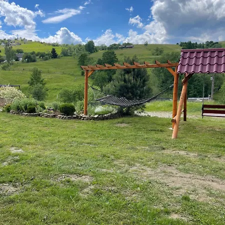 дзвін карпат Lodge *