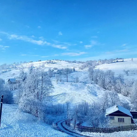 Orman Evi дзвін карпат Lazeshchyna