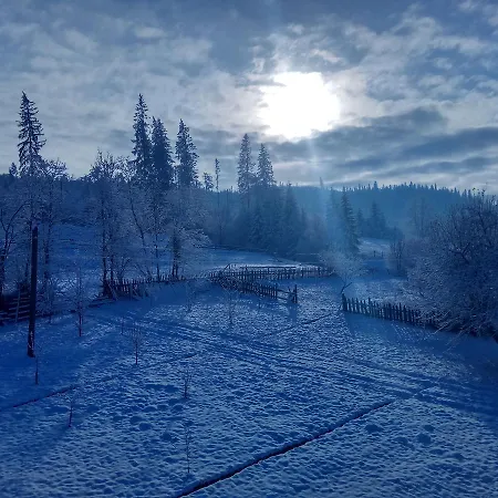 дзвін карпат *