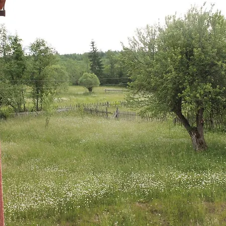 дзвін карпат