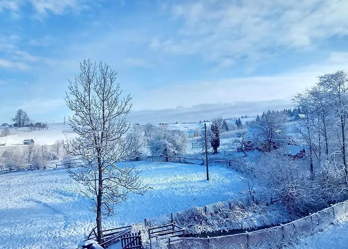 Orman Evi дзвін карпат