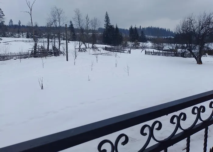 дзвін карпат Orman Evi *