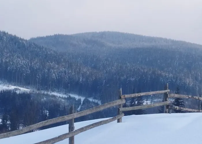 дзвін карпат Lazeshchyna